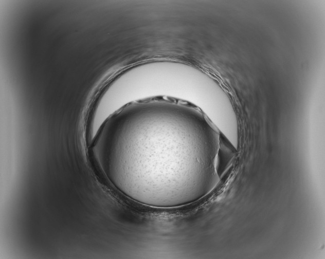 X0000095910197200801251016