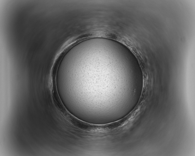 X0000095910198200801251016