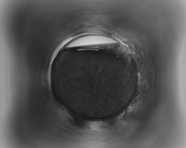 X0000095910200200801251016