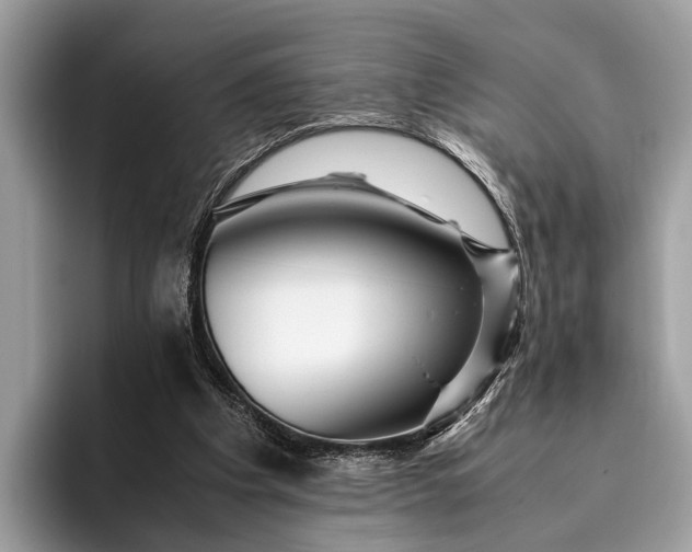 X0000095910201200801251016