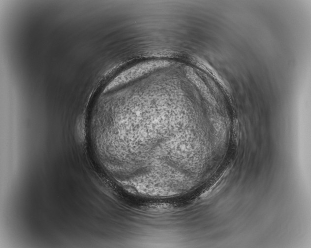 X0000095910203200801251016