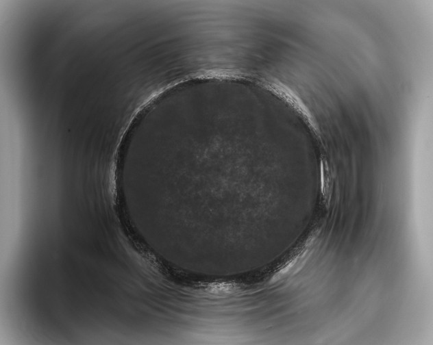 X0000095910204200801251016