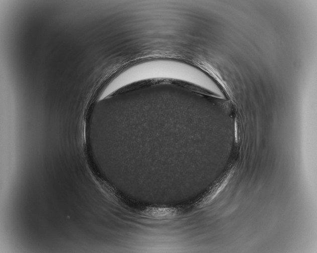 X0000095910205200801251016