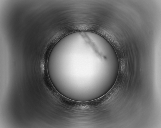 X0000095910206200801251016