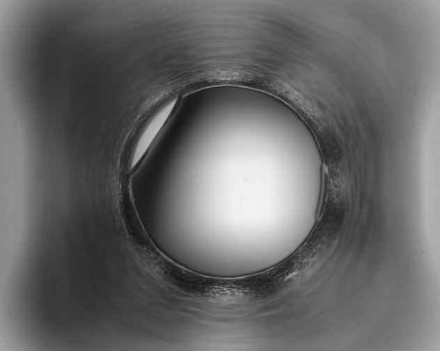 X0000095910207200801251016