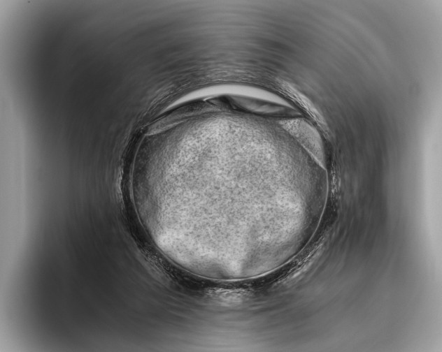 X0000095910209200801251016