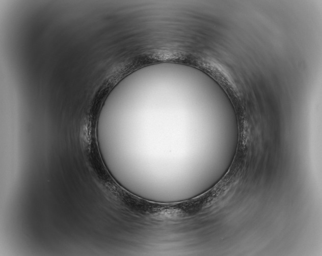 X0000095910210200801251016