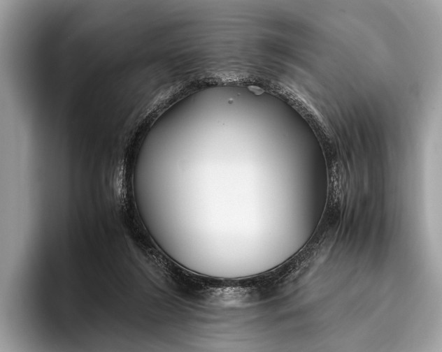 X0000095910212200801251016