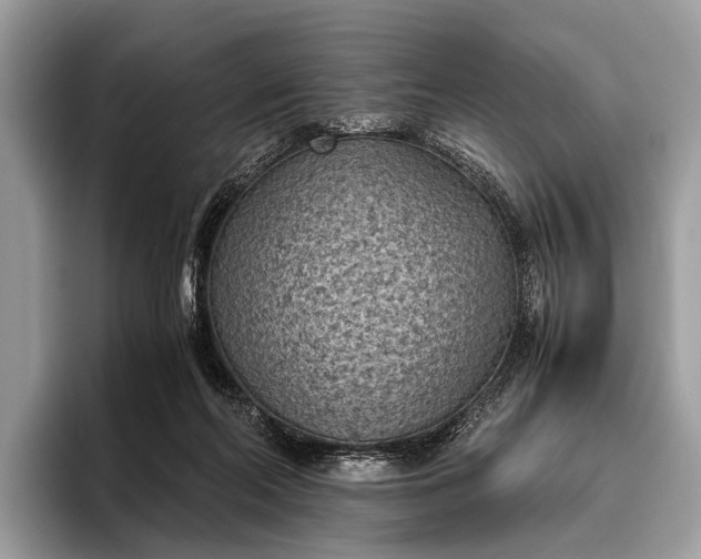 X0000095910214200801251016