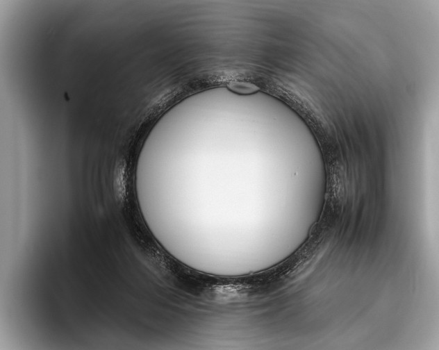 X0000095910216200801251016