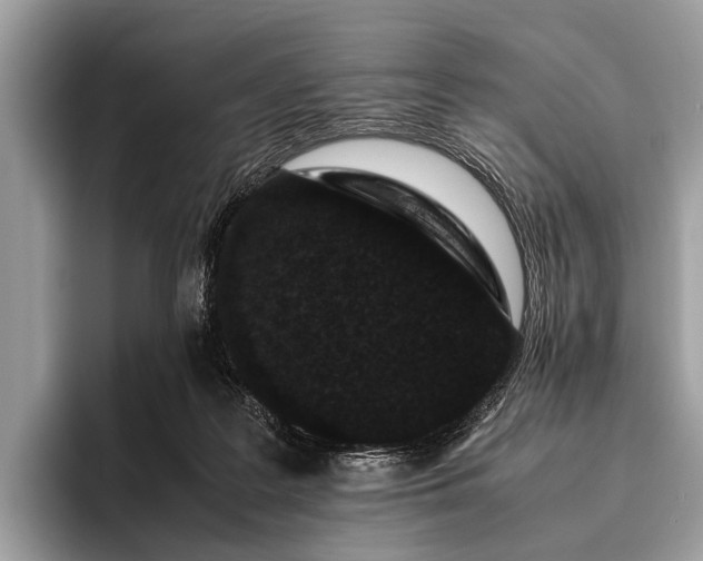 X0000095910219200801251016