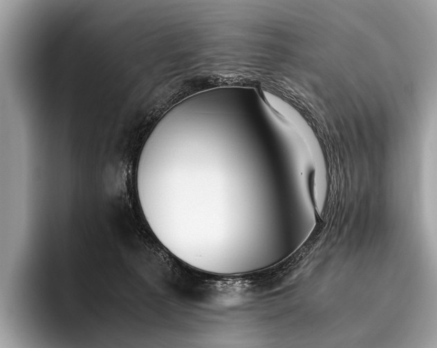 X0000095910225200801251016