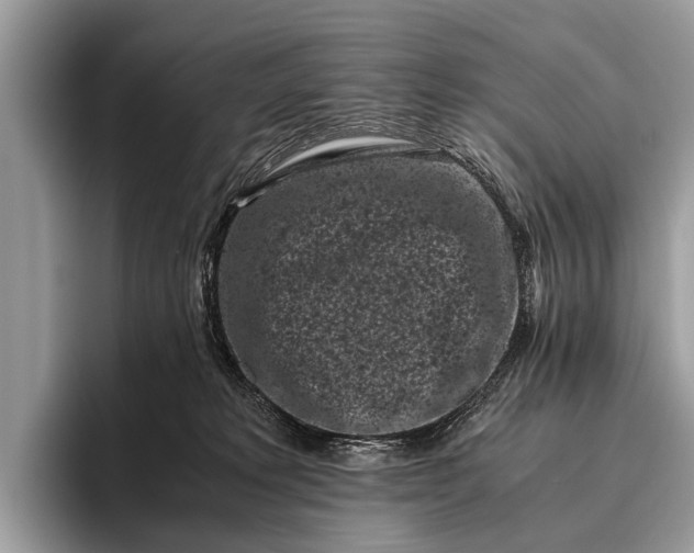 X0000095910229200801251016