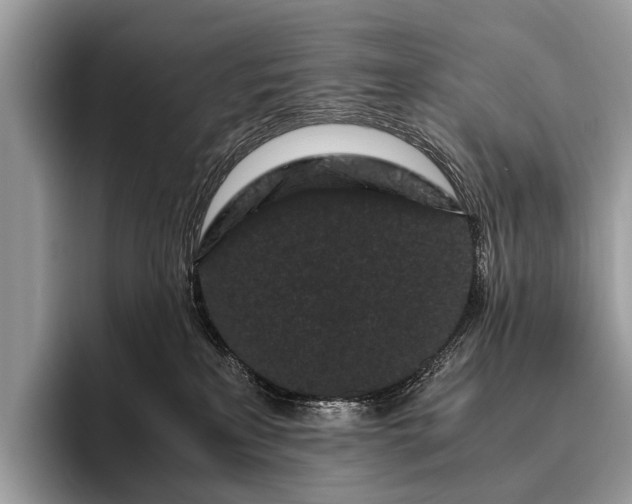 X0000095910233200801251016