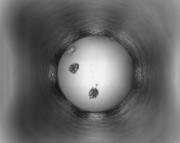 X0000095910234200801251016