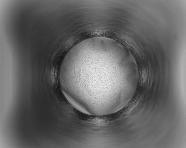 X0000095910236200801251016