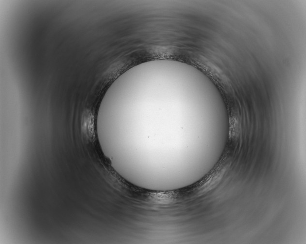 X0000095910238200801251016