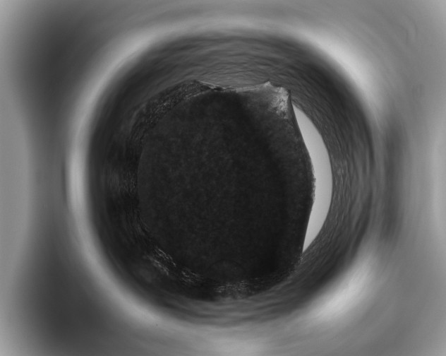 X0000095910239200801251016