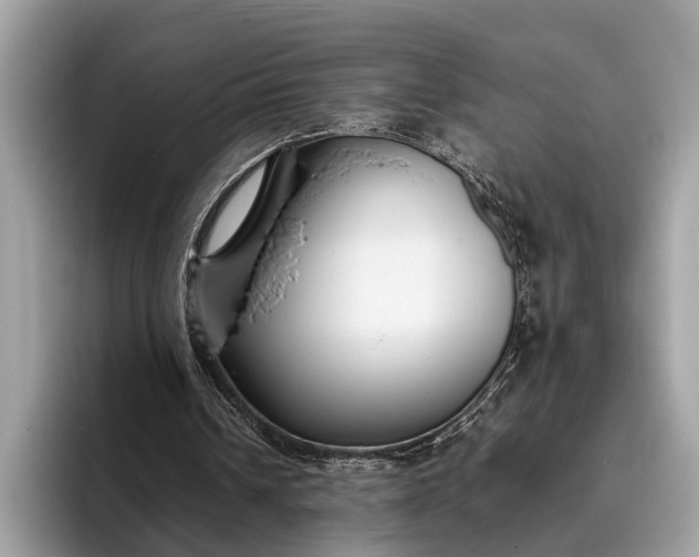 X0000095910242200801251015