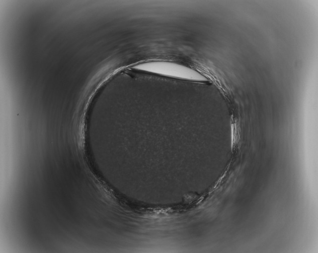 X0000095910243200801251015