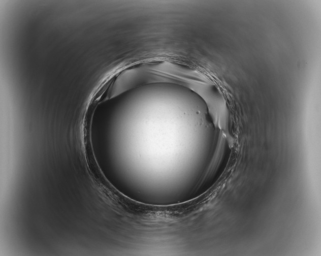 X0000095910244200801251015