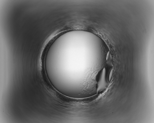 X0000095910246200801251015