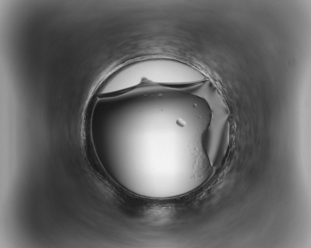 X0000095910248200801251015