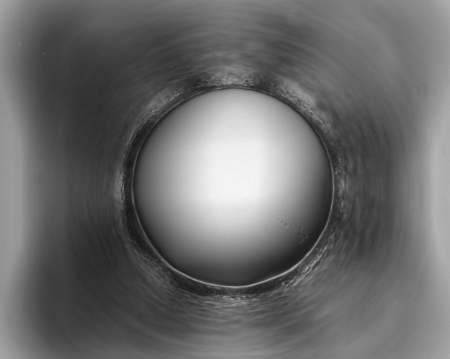 X0000095910250200801251015