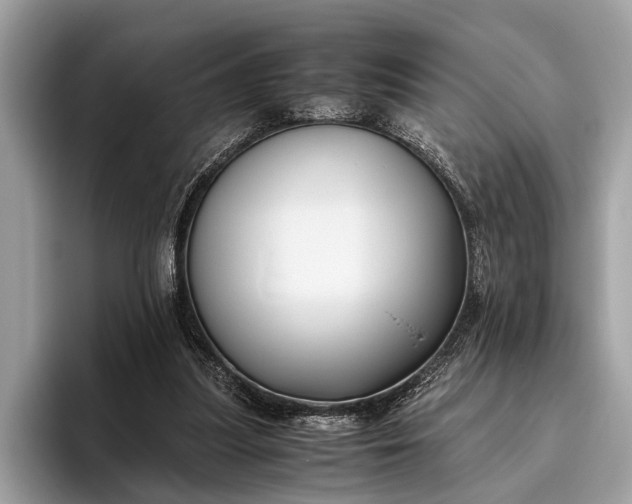 X0000095910251200801251015