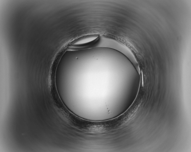 X0000095910252200801251015