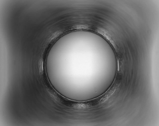 X0000095910253200801251015