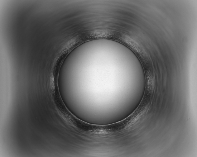 X0000095910254200801251015