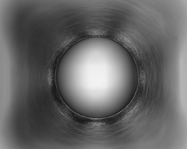 X0000095910255200801251015