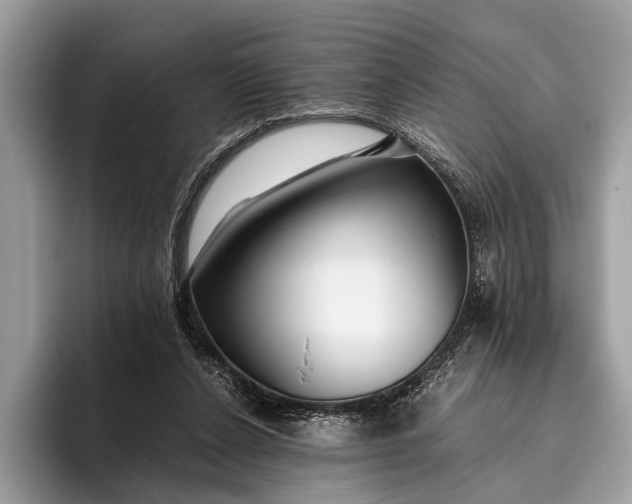 X0000095910256200801251015