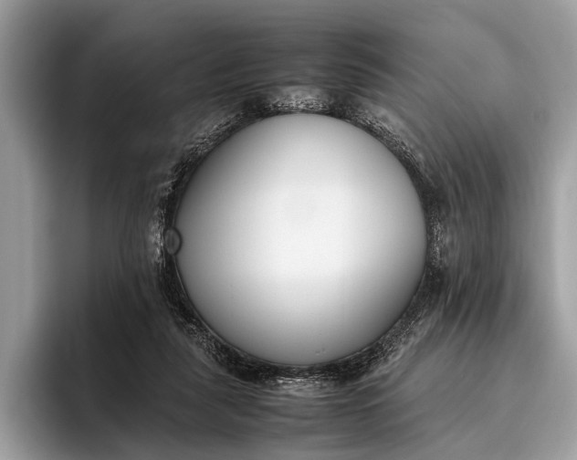 X0000095910259200801251016