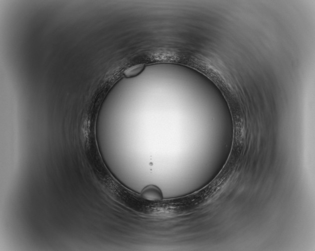 X0000095910263200801251016