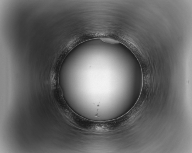 X0000095910264200801251016