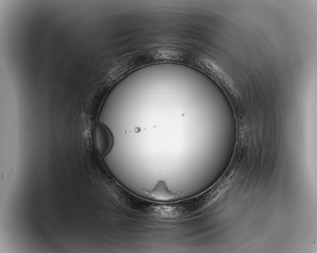 X0000095910265200801251016