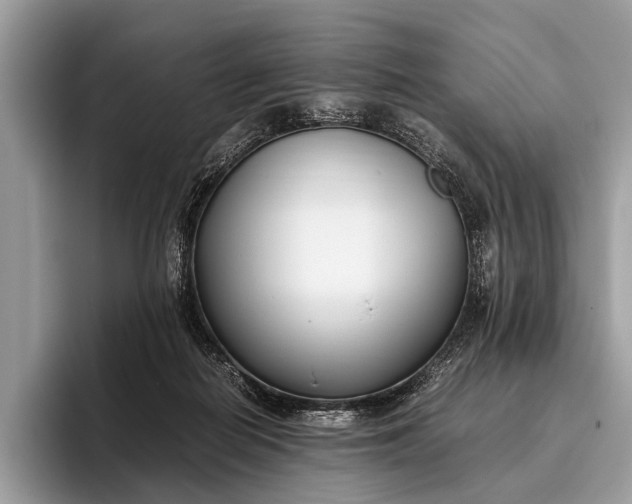 X0000095910266200801251016