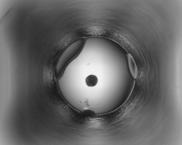 X0000095910268200801251016