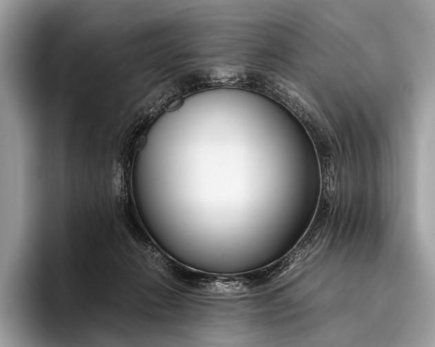 X0000095910270200801251016