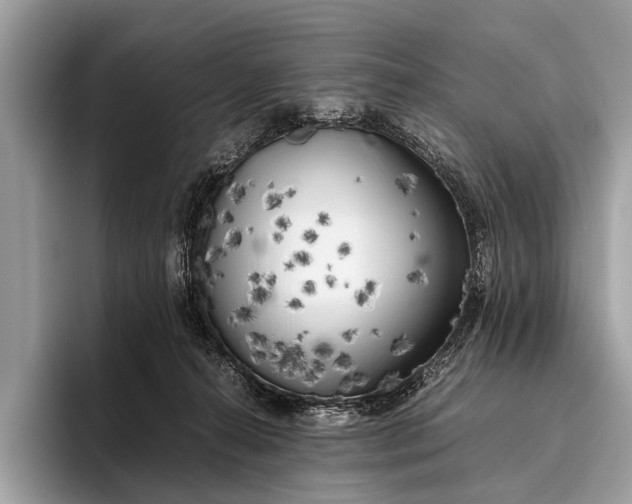 X0000095910272200801251016