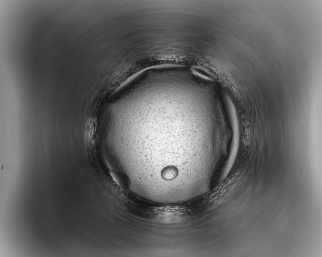 X0000095910273200801251016