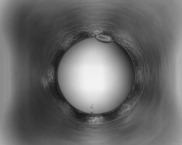 X0000095910274200801251016