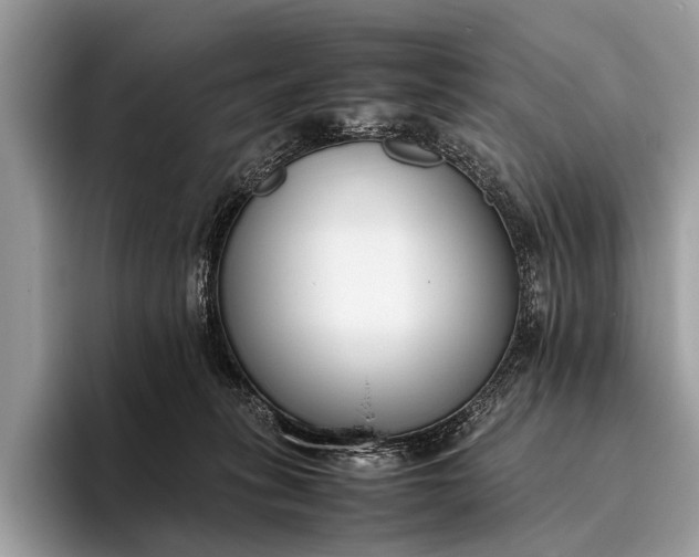 X0000095910275200801251016