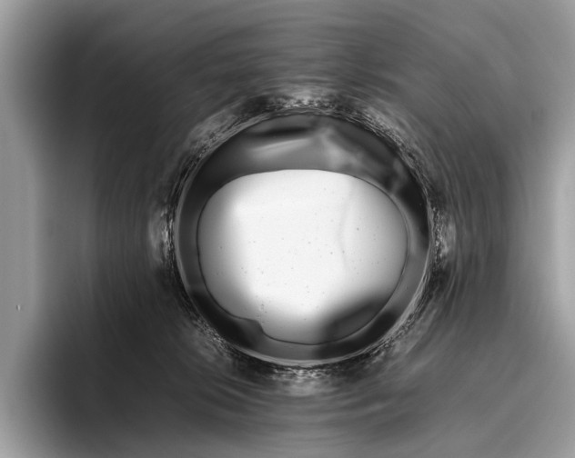 X0000095910276200801251016