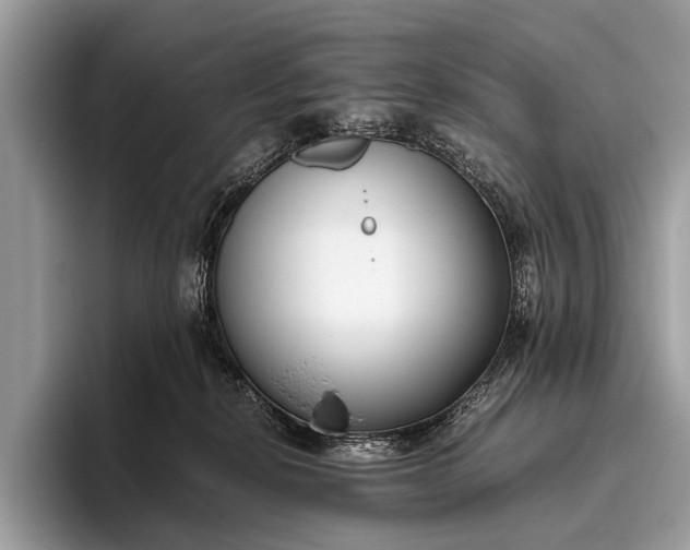 X0000095910278200801251016