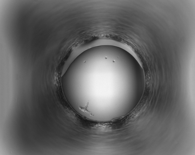 X0000095910280200801251016