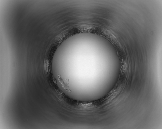 X0000095910283200801251016