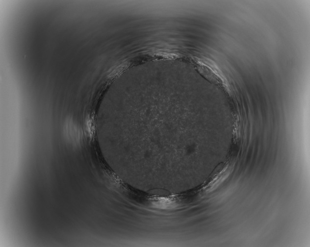 X0000095910285200801251016